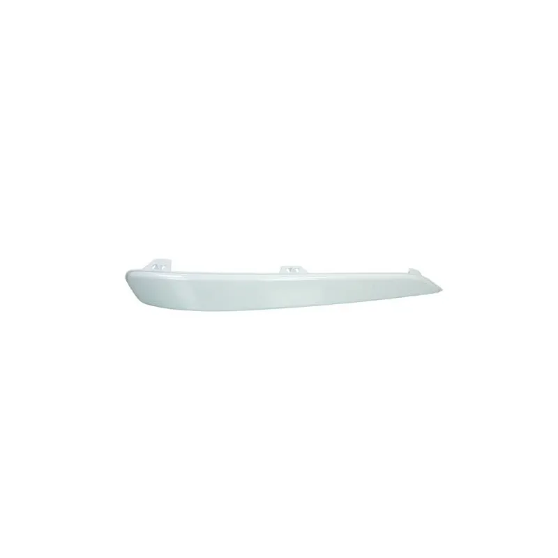 Baguette et bande protectrice, pare-chocs avant droit BLIC 6509-01-5052922P