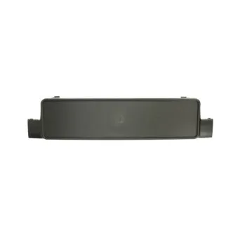 Support de plaque d'immatriculation BLIC 6509-01-9539920P