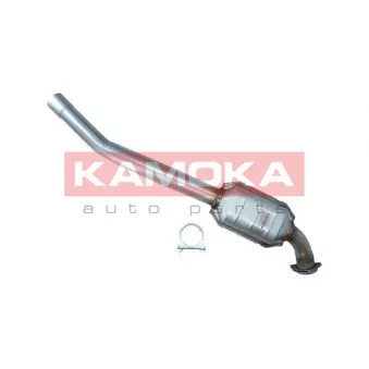 Catalyseur KAMOKA 8015001