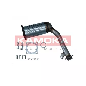 Catalyseur KAMOKA 8015002