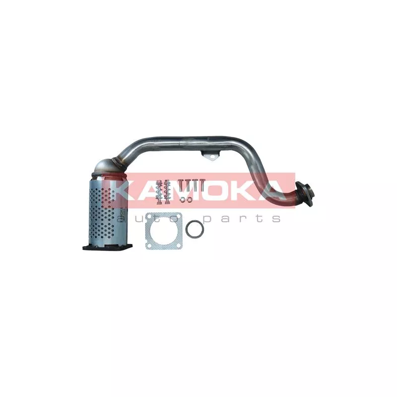 Catalyseur KAMOKA 8015005