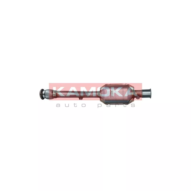 Catalyseur KAMOKA 8015006