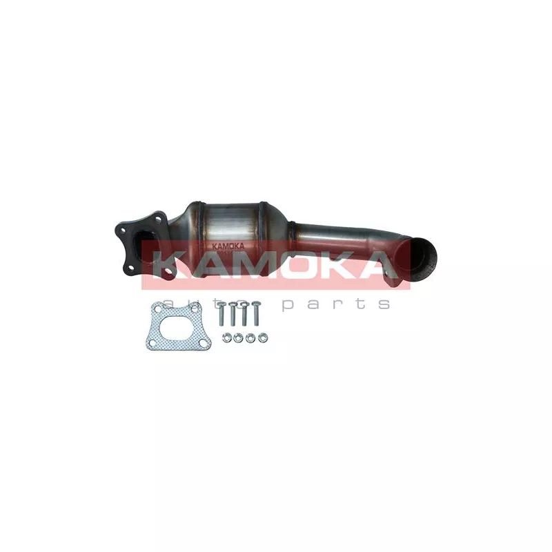 Catalyseur KAMOKA 8015007