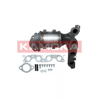 Catalyseur KAMOKA 8015011