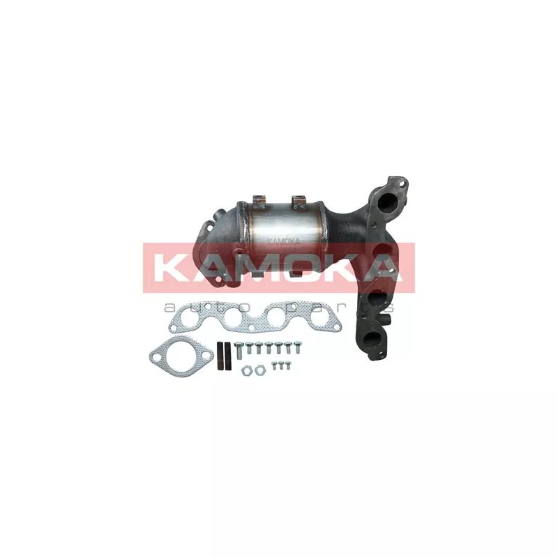 Catalyseur KAMOKA 8015011