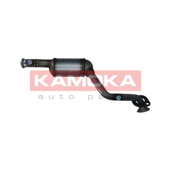 Catalyseur KAMOKA 8015015