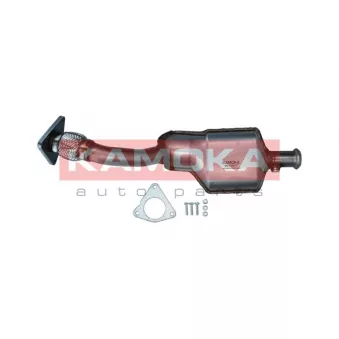 Catalyseur KAMOKA 8015017