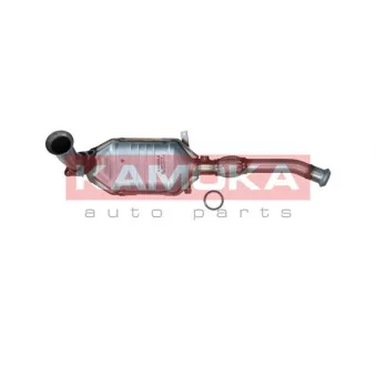 Catalyseur KAMOKA 8015019