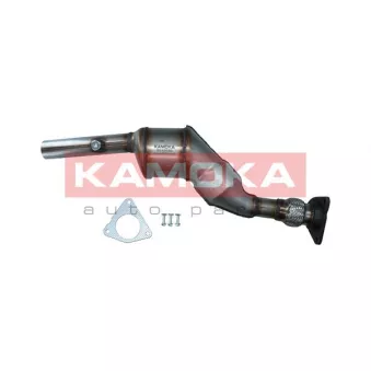 Catalyseur KAMOKA 8015020