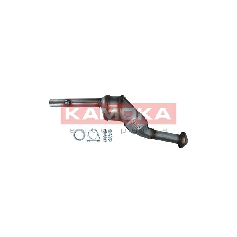 Catalyseur KAMOKA 8015021