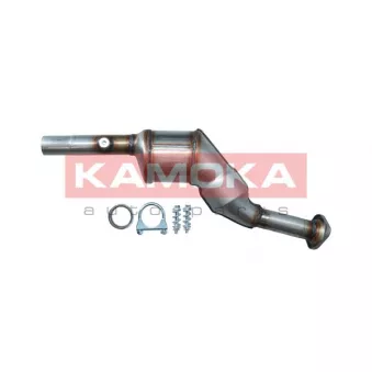 Catalyseur KAMOKA 8015022