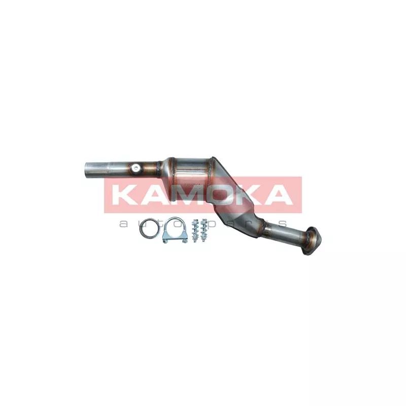Catalyseur KAMOKA 8015022
