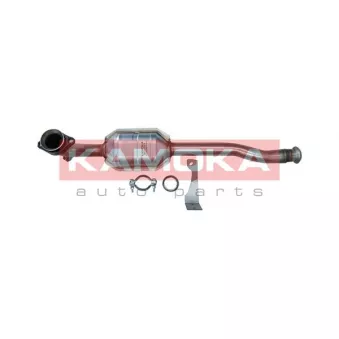 Catalyseur KAMOKA 8015023
