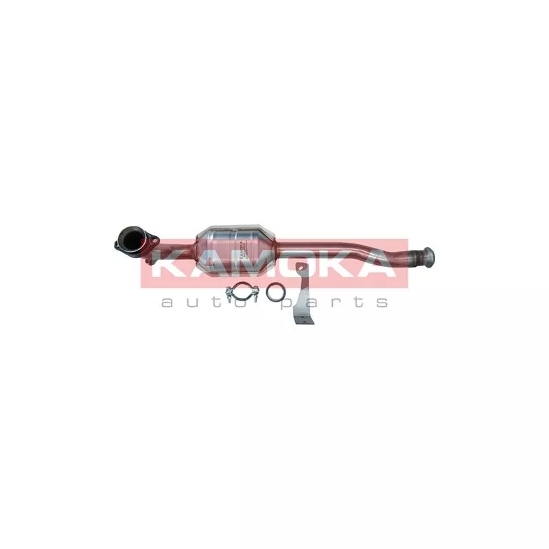 Catalyseur KAMOKA 8015023