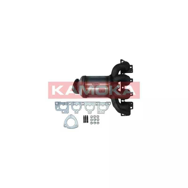 Catalyseur KAMOKA 8015026