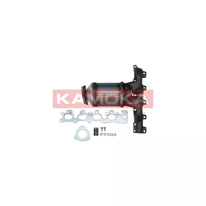 Catalyseur KAMOKA 8015028