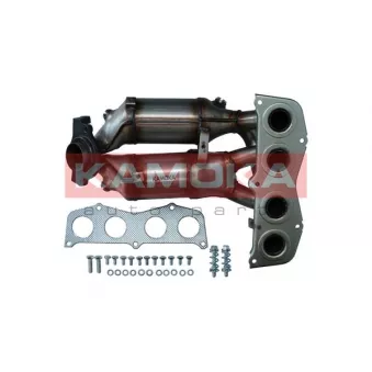 Catalyseur KAMOKA 8015032