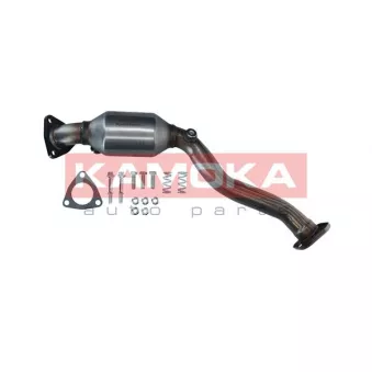 Catalyseur KAMOKA 8015033