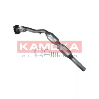 Catalyseur KAMOKA 8015036