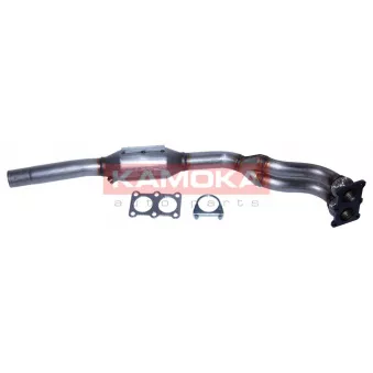 Catalyseur KAMOKA 8015037