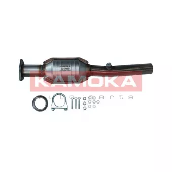 Catalyseur KAMOKA 8015038