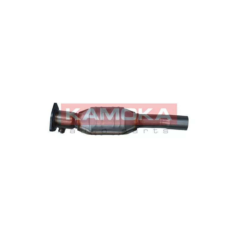 Catalyseur KAMOKA 8015041
