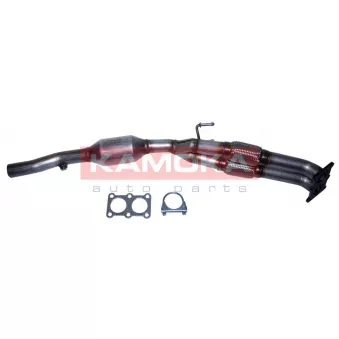 Catalyseur KAMOKA 8015042