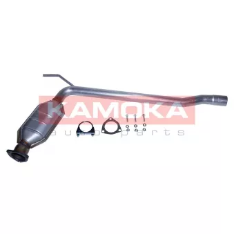 Catalyseur KAMOKA 8015043