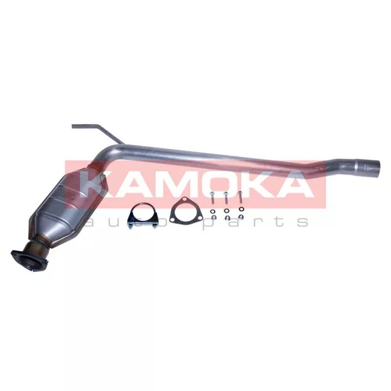 Catalyseur KAMOKA 8015043