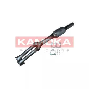 Catalyseur KAMOKA 8015045