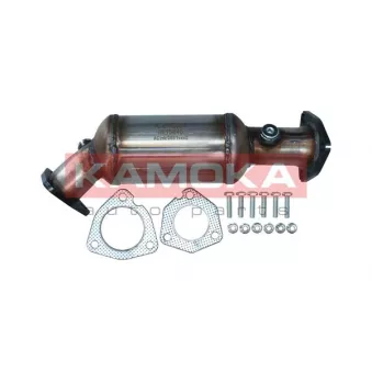 Catalyseur KAMOKA 8015046