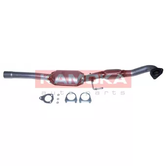 Catalyseur KAMOKA 8015048