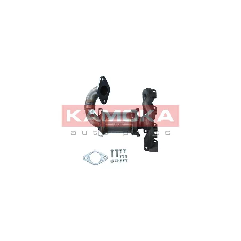 Catalyseur KAMOKA 8015050