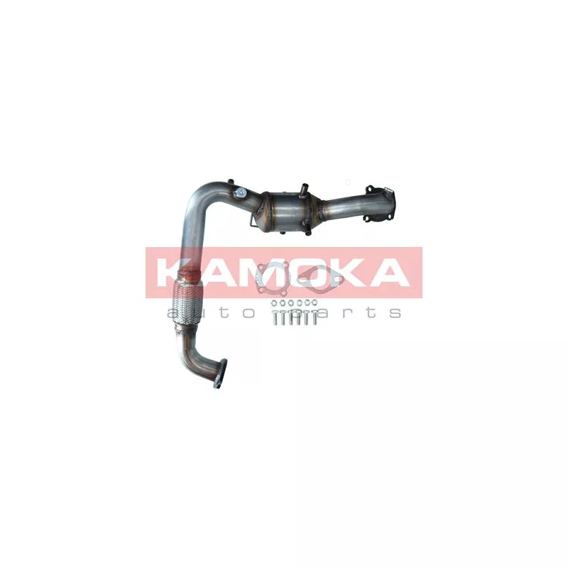 Catalyseur KAMOKA 8015053
