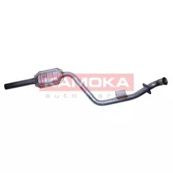 Catalyseur KAMOKA 8015055
