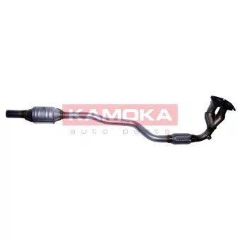 Catalyseur KAMOKA 8015058