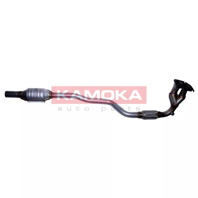 Catalyseur KAMOKA 8015058
