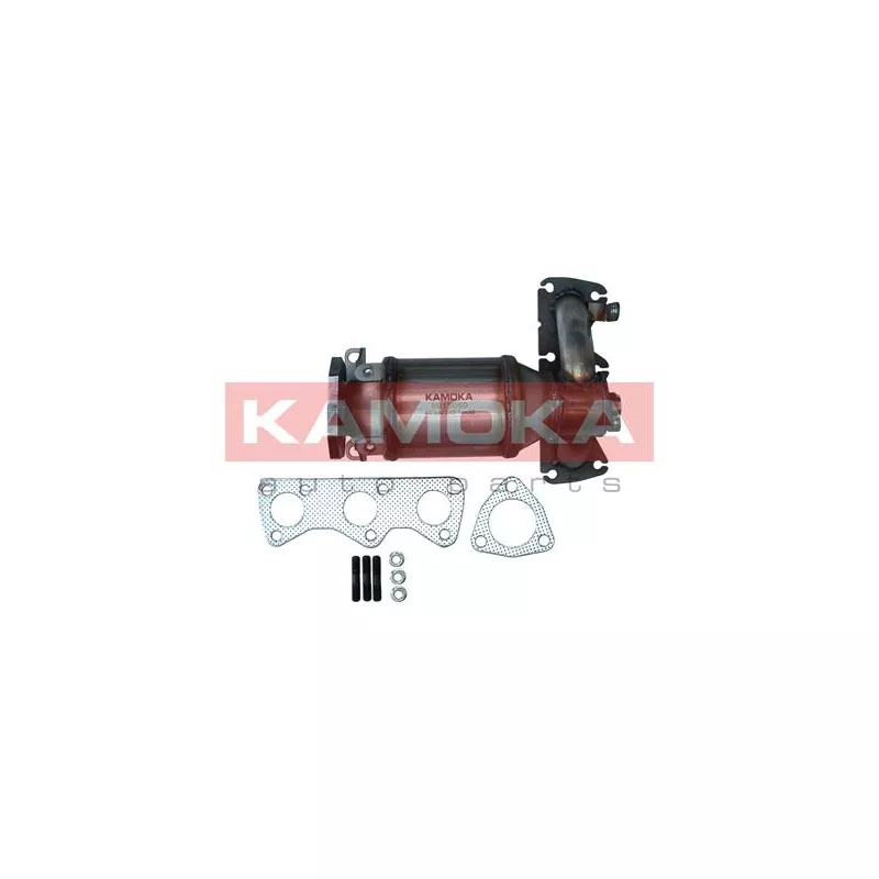 Catalyseur KAMOKA 8015060