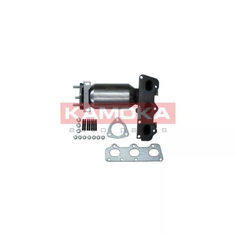Catalyseur KAMOKA 8015061