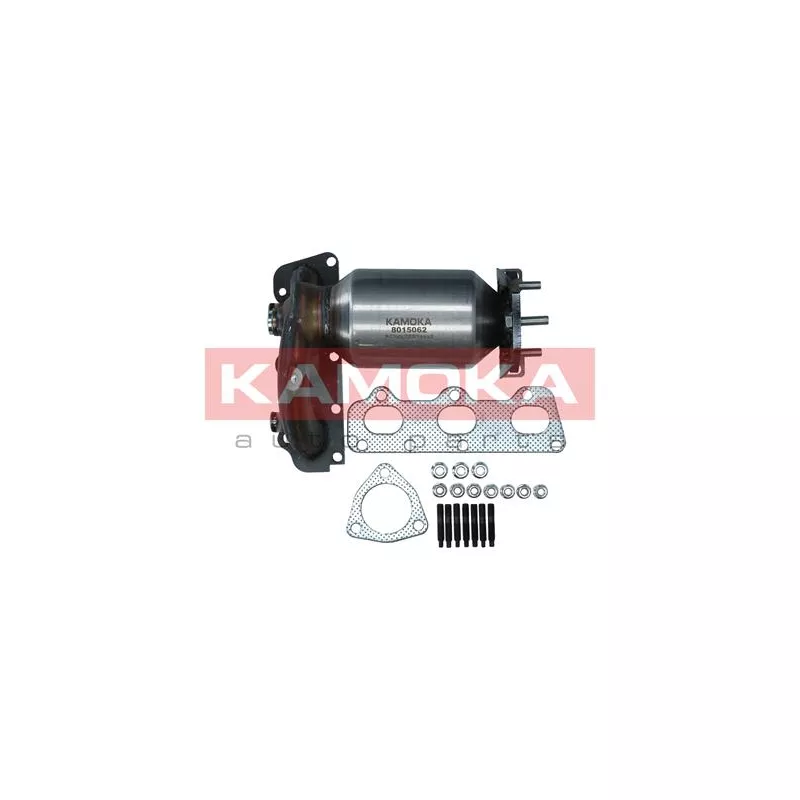 Catalyseur KAMOKA 8015062