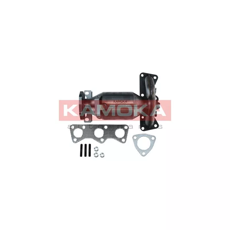 Catalyseur KAMOKA 8015063