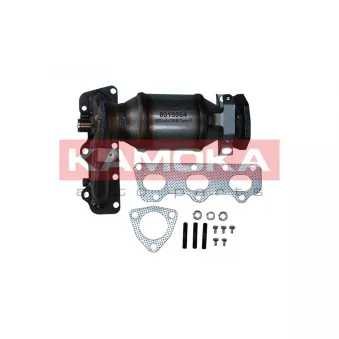 Catalyseur KAMOKA 8015064