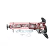 Catalyseur KAMOKA 8015068 - Visuel 1