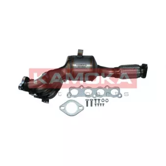 Catalyseur KAMOKA 8015069