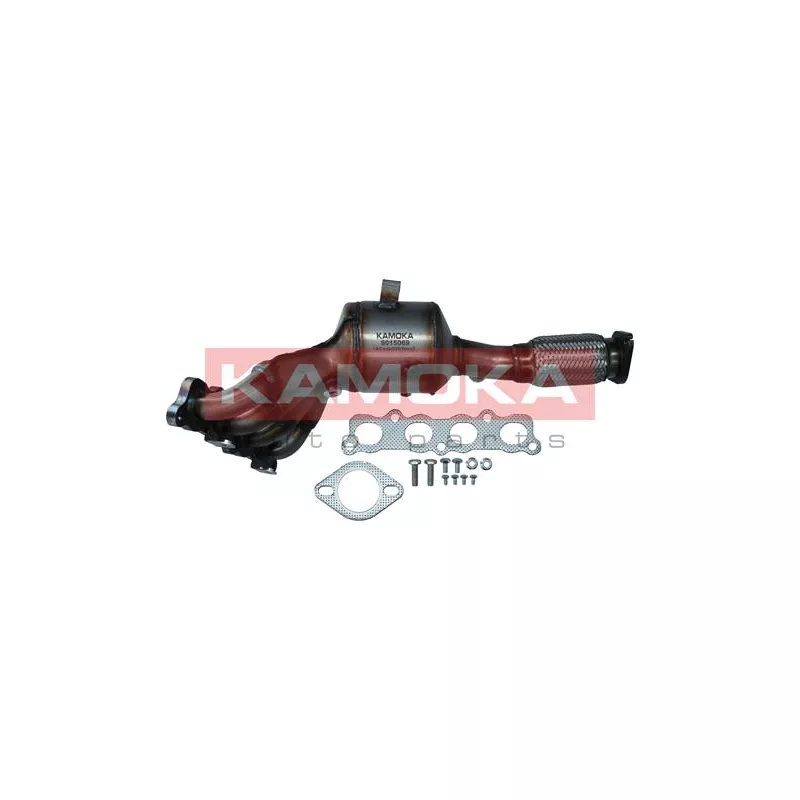 Catalyseur KAMOKA 8015069