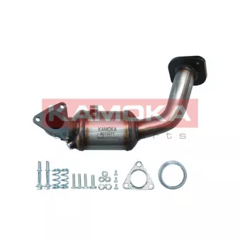 Catalyseur KAMOKA 8015071