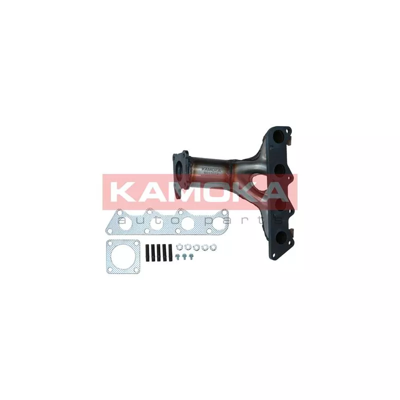 Catalyseur KAMOKA 8015072
