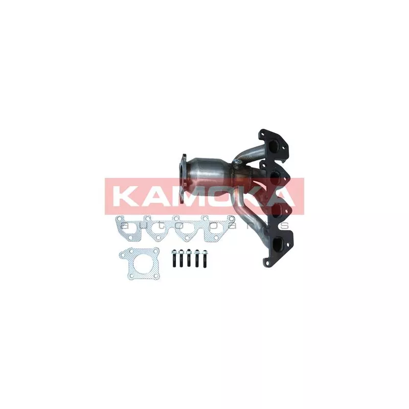 Catalyseur KAMOKA 8015073