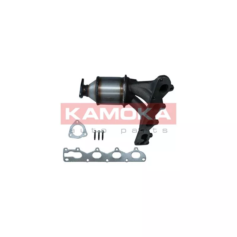 Catalyseur KAMOKA 8015075