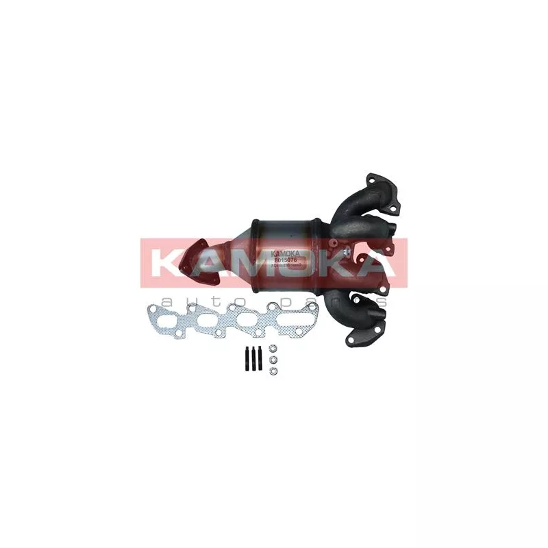 Catalyseur KAMOKA 8015076